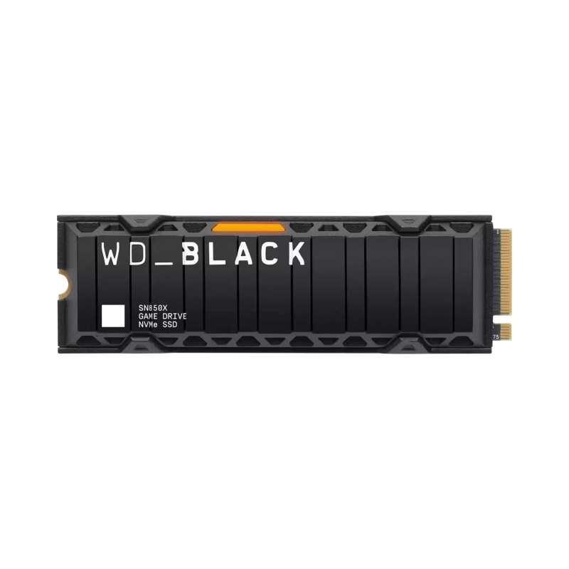 WDS100T2XHE-00BCA0-1